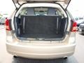 2009 Light Sandstone Metallic Dodge Journey R/T  photo #5