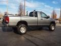 Mineral Gray Metallic - Ram 2500 SLT Regular Cab 4x4 Photo No. 3
