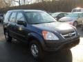 Eternal Blue Pearl - CR-V LX 4WD Photo No. 14