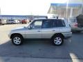 Quicksilver - RAV4 4WD Photo No. 2