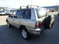 Quicksilver - RAV4 4WD Photo No. 3