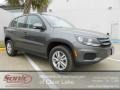 Pepper Gray Metallic - Tiguan S Photo No. 1