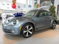 Platinum Gray Metallic 2012 Volkswagen Beetle Turbo Exterior