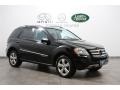 Black - ML 350 4Matic Photo No. 1