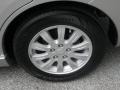 Quick Silver Pearl - Galant FE Photo No. 11