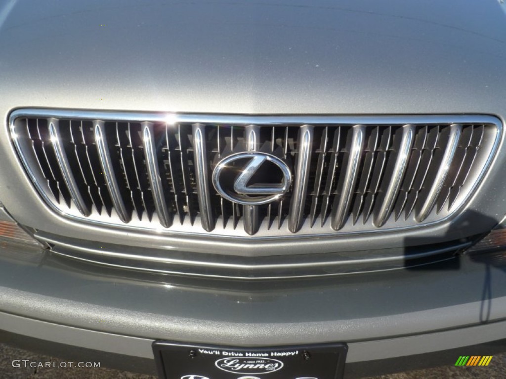 2003 RX 300 AWD - Millenium Silver Metallic / Ivory photo #6