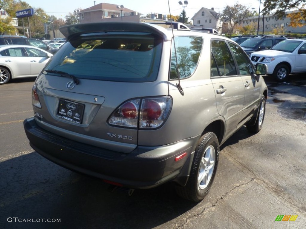 2003 RX 300 AWD - Millenium Silver Metallic / Ivory photo #12
