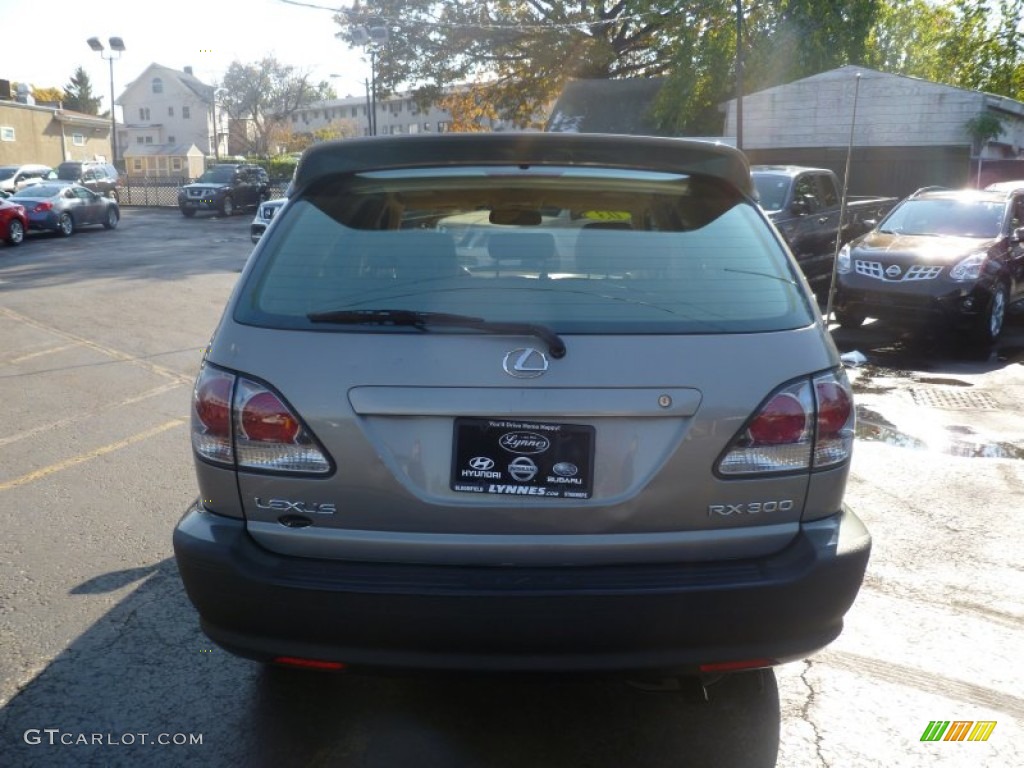 2003 RX 300 AWD - Millenium Silver Metallic / Ivory photo #13