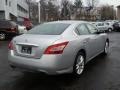 Radiant Silver Metallic - Maxima 3.5 SV Photo No. 3