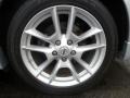 Radiant Silver Metallic - Maxima 3.5 SV Photo No. 8