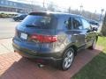 Grigio Metallic - RDX SH-AWD Technology Photo No. 5