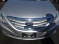 Radiant Silver - Sonata GLS Photo No. 6