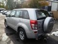 Quicksilver Metallic - Grand Vitara 4x4 Photo No. 12