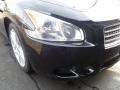 Super Black - Maxima 3.5 SV Premium Photo No. 5