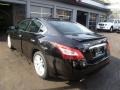 Super Black - Maxima 3.5 SV Premium Photo No. 12