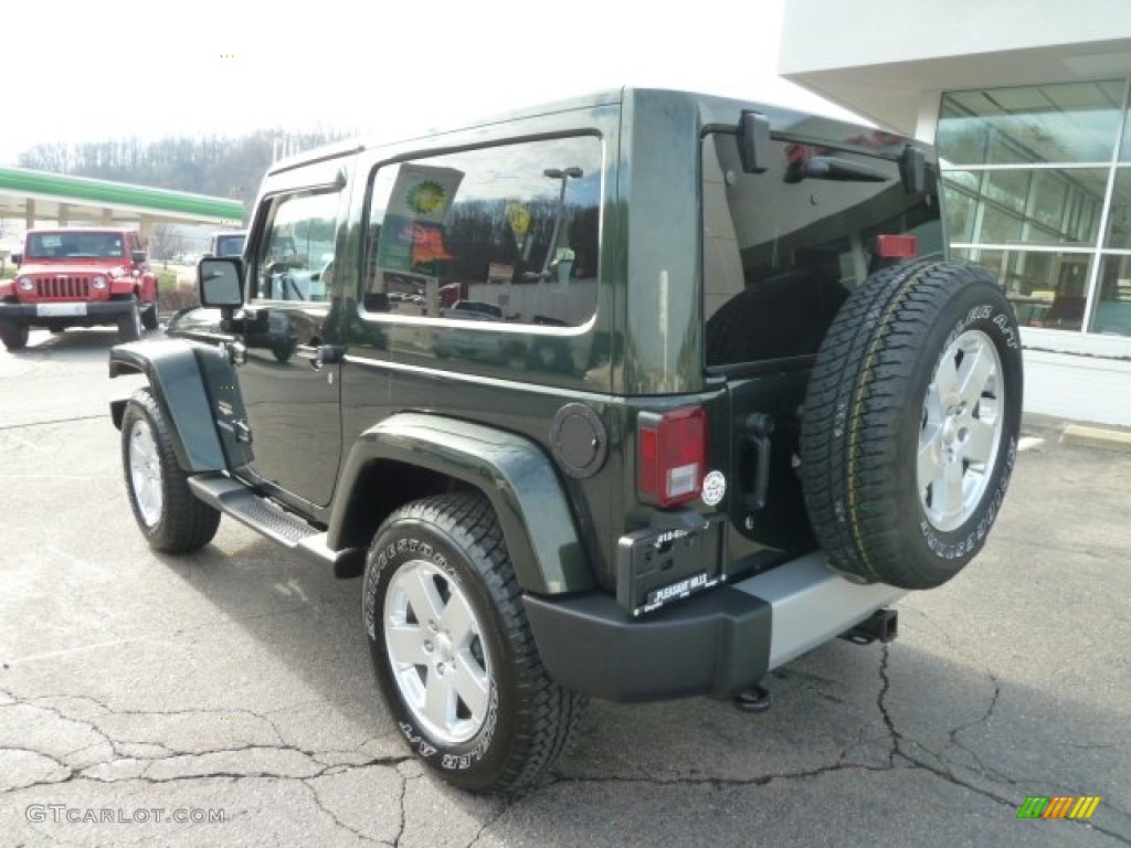 2011 Wrangler Sahara 4x4 - Natural Green Pearl / Black/Dark Saddle photo #3