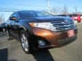 Sunset Bronze Mica - Venza V6 AWD Photo No. 3