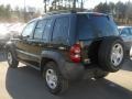 Black - Liberty Sport 4x4 Photo No. 12
