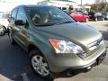 2009 Green Tea Metallic Honda CR-V EX  photo #1