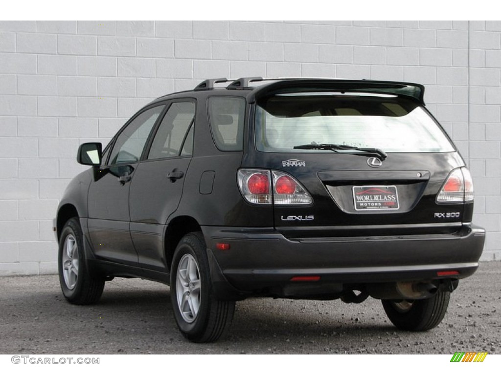 2001 RX 300 AWD - Black Onyx / Ivory photo #9