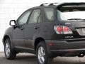 2001 Black Onyx Lexus RX 300 AWD  photo #10