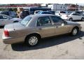 Arizona Beige Metallic - Crown Victoria LX Photo No. 4