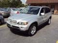 2004 Titanium Silver Metallic BMW X5 4.4i  photo #1