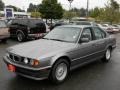 Arctic Grey Metallic 1995 BMW 5 Series 530i Sedan Exterior