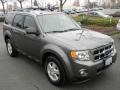 2009 Sterling Grey Metallic Ford Escape XLT V6 4WD  photo #2