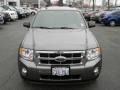 2009 Sterling Grey Metallic Ford Escape XLT V6 4WD  photo #3