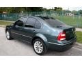 2004 Alaska Green Metallic Volkswagen Jetta GL Sedan  photo #9