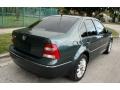 2004 Alaska Green Metallic Volkswagen Jetta GL Sedan  photo #13