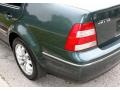 2004 Alaska Green Metallic Volkswagen Jetta GL Sedan  photo #27