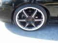 Blackout - Sentra SE-R Spec V Photo No. 15