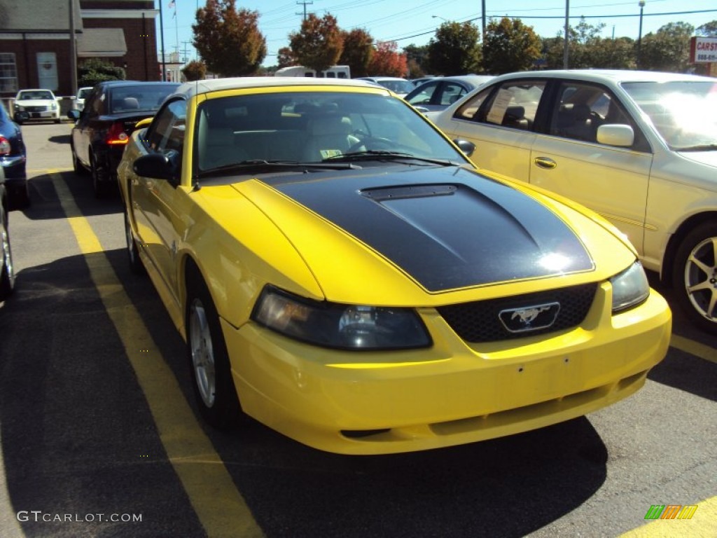 2002 Mustang V6 Convertible - Zinc Yellow / Oxford White photo #1