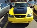 2002 Zinc Yellow Ford Mustang V6 Convertible  photo #3