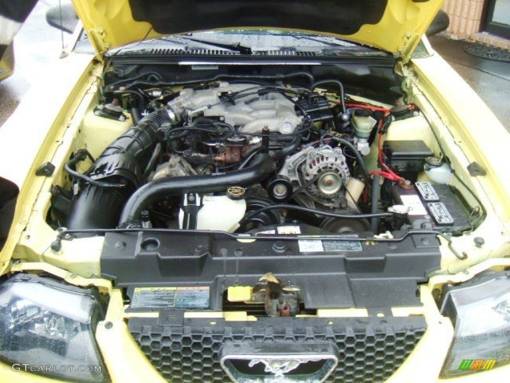 2002 Mustang V6 Convertible - Zinc Yellow / Oxford White photo #13