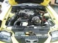 2002 Zinc Yellow Ford Mustang V6 Convertible  photo #13