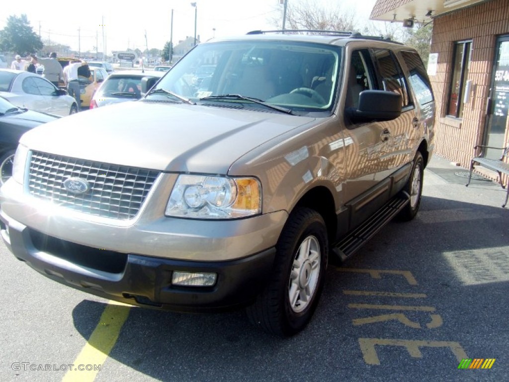 2003 Expedition XLT - Arizona Beige Metallic / Medium Parchment photo #2