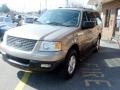 Arizona Beige Metallic - Expedition XLT Photo No. 2
