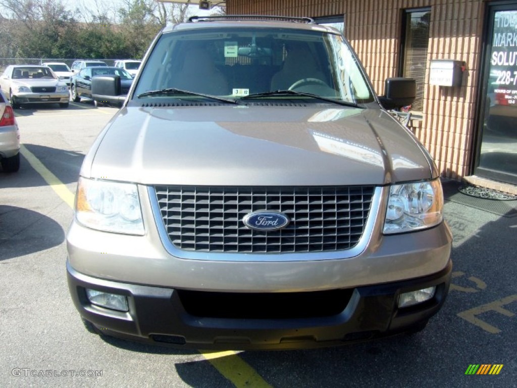 2003 Expedition XLT - Arizona Beige Metallic / Medium Parchment photo #3
