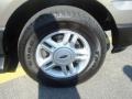 Arizona Beige Metallic - Expedition XLT Photo No. 11