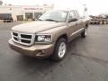 Austin Tan Pearl Coat 2010 Dodge Dakota Big Horn Extended Cab