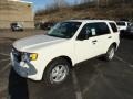 2012 White Suede Ford Escape XLT V6 4WD  photo #5