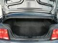 Dark Charcoal Trunk Photo for 2008 Ford Mustang #58086960