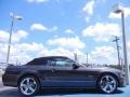 2007 Alloy Metallic Ford Mustang GT Premium Convertible  photo #6