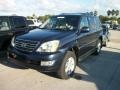 Blue Meridian Pearl - GX 470 Photo No. 1