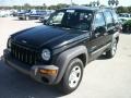 Black Clearcoat 2004 Jeep Liberty Sport