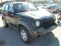 2004 Black Clearcoat Jeep Liberty Sport  photo #8