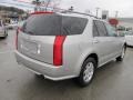 Light Platinum - SRX 4 V6 AWD Photo No. 6